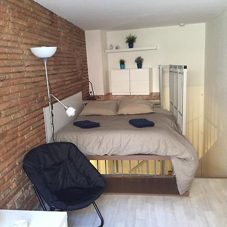 Le Petit Moulin, Duplex Hypercentre Toulouse Apartment Luaran gambar